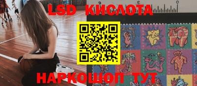 Альфа ПВП Будённовск