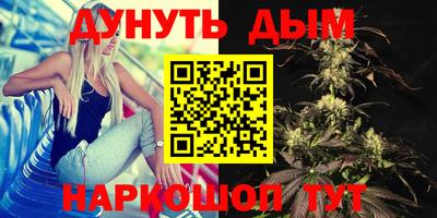Альфа ПВП Будённовск