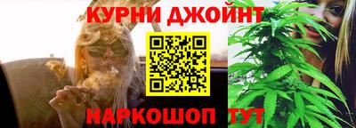 гашик Бузулук