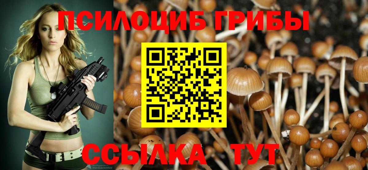 Холмск  Псилоцибиновые грибы MAGIC MUSHROOMS  Вход с VPN 