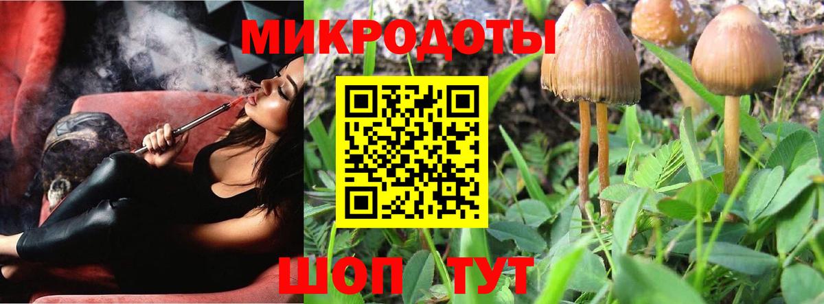 Псилоцибиновые грибы мицелий Холмск